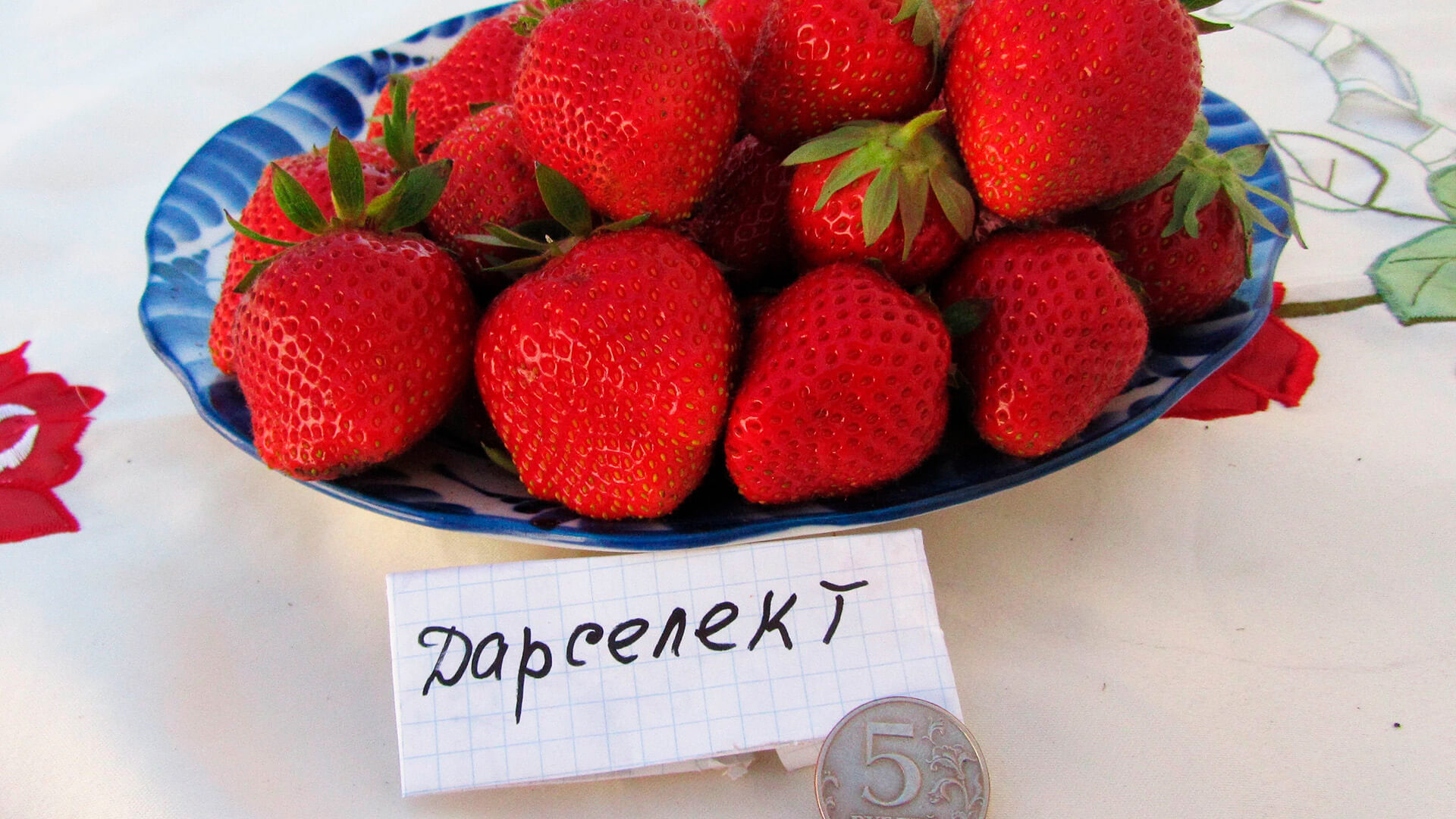 Клубника сорта Дарселект.