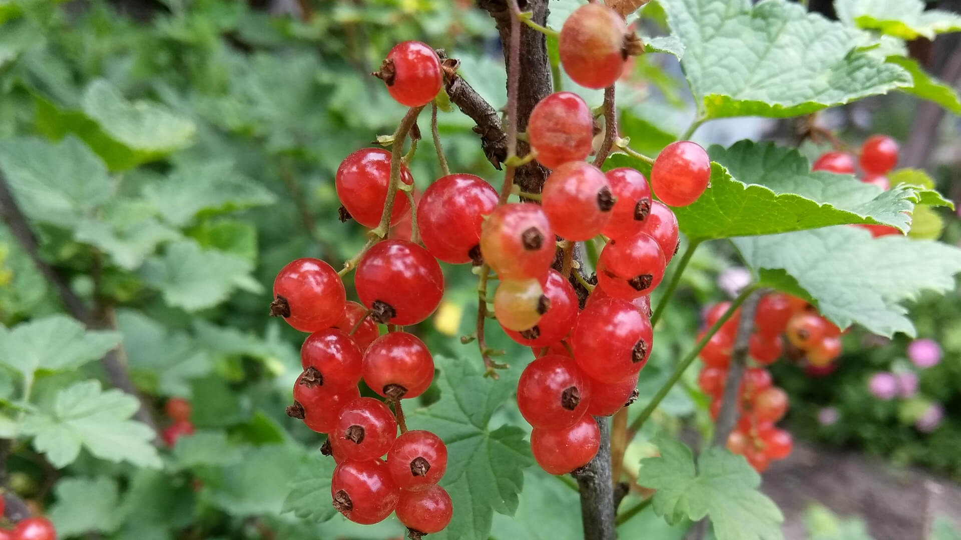 article-image